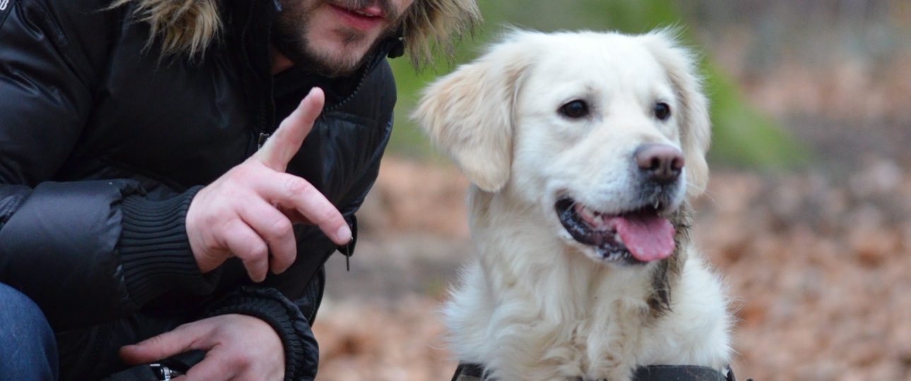 Mann som trener hunden sin