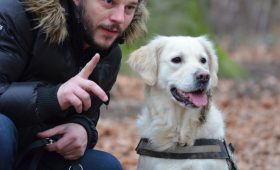 Mann som trener hunden sin