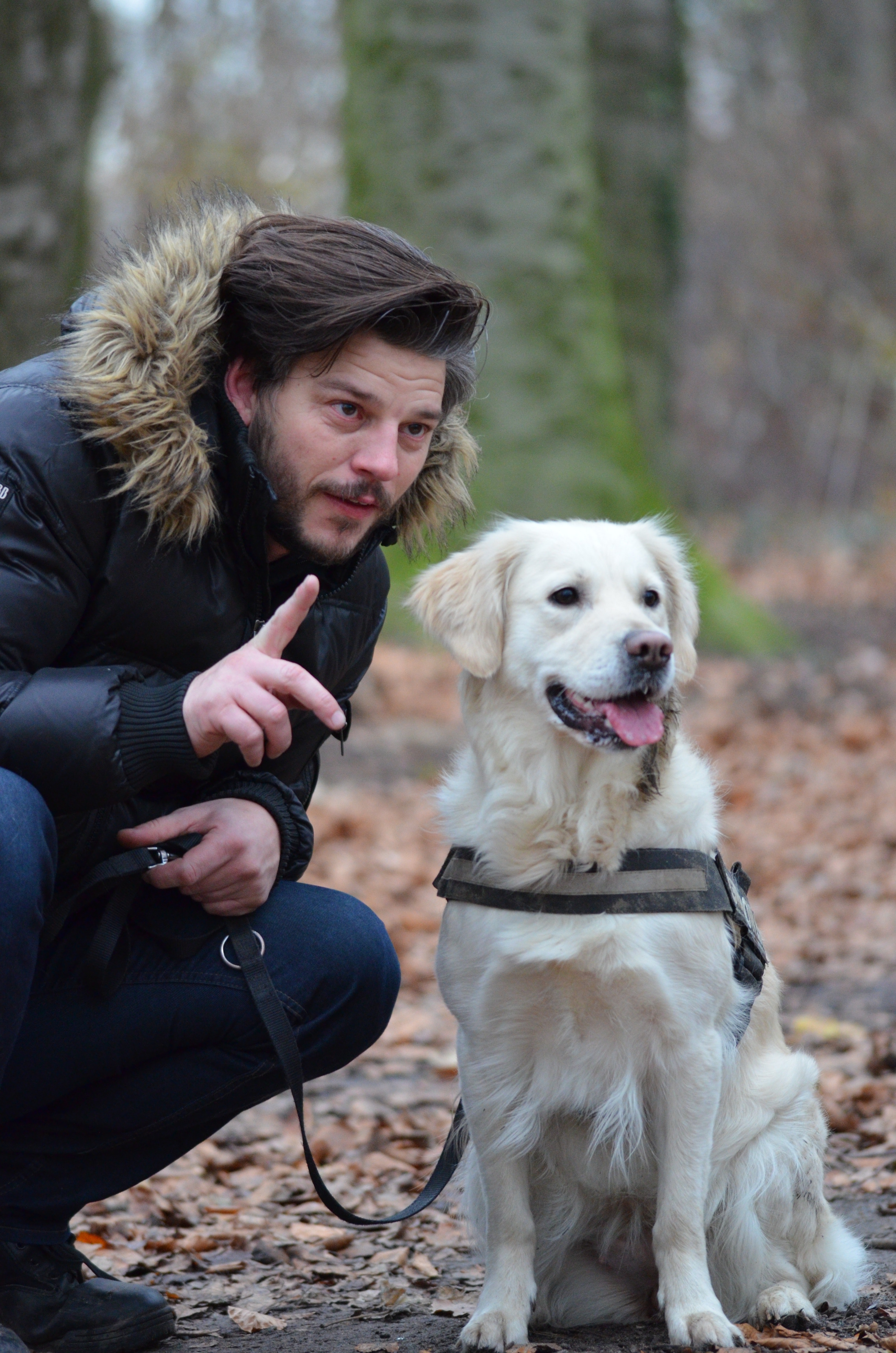 Mann som trener hunden sin
